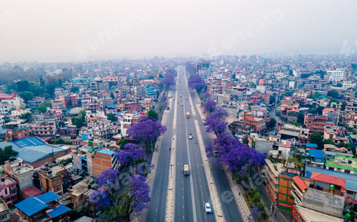 Preview: aerial view of blossom Jacaranda flower in ring road highway