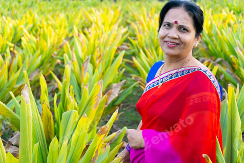 Preview: Happy Indian woman in the turmeric field