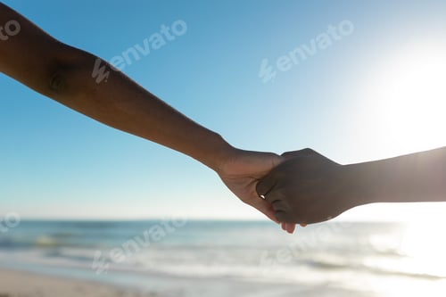 Preview: Cropped image of african american couple holding hands at beach against sky on sunny day