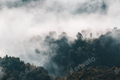 Preview: Beautiful summer landscape in the mountains with the sunset