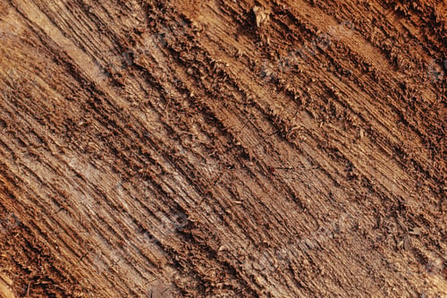 Preview: Texture of cut old tree stump with annual rings and cracks. Wooden texture