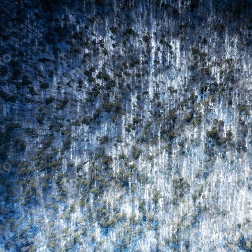 Preview: Winter forest from Air