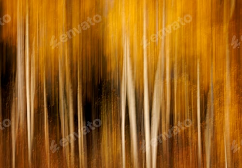 Preview: Aspen Trees Motion Blurred Artistic Image