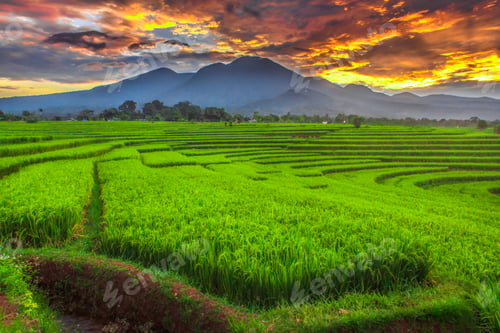 Preview: Beautiful morning view indonesia Panorama Landscape with beauty color