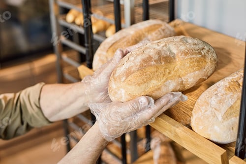 Preview: Gloved hands of baker taking crunchy loaf of bread from wooden display
