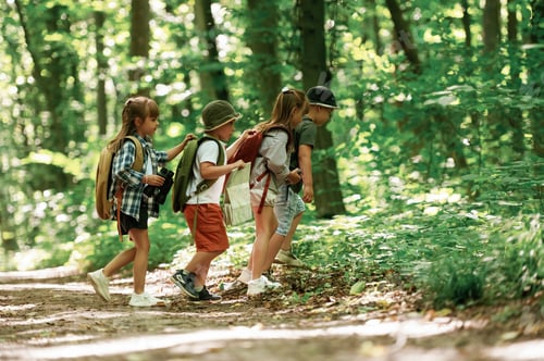 Preview: Discovering new place. Kids in forest at summer daytime together