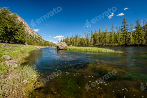 Preview: Madison River, Yellowstone National Park, Wyoming