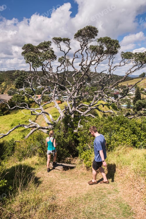 Preview: Walking on Tapeka Point, Russell, Bay of Islands, Northland Region, North Island, New Zealand