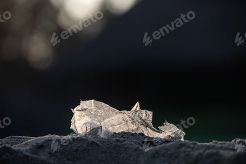Preview: A plastic bag on a polluted beach of planet Earth illuminated by the setting sun.