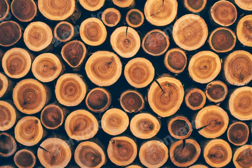 Preview: Stacked wood logs as texture
