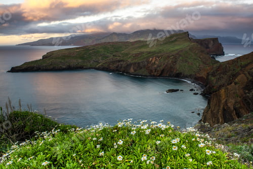 Preview: Ponta de Sao Lourenco, Madeira , Portugal. Sunrise over green cliffs and spring flowers