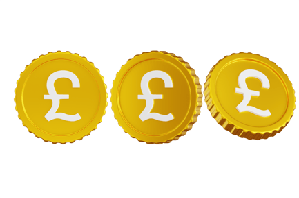 Preview: Pound Sterling Coin