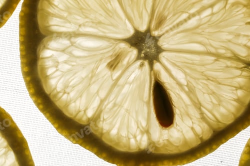 Preview: Slices of lemon