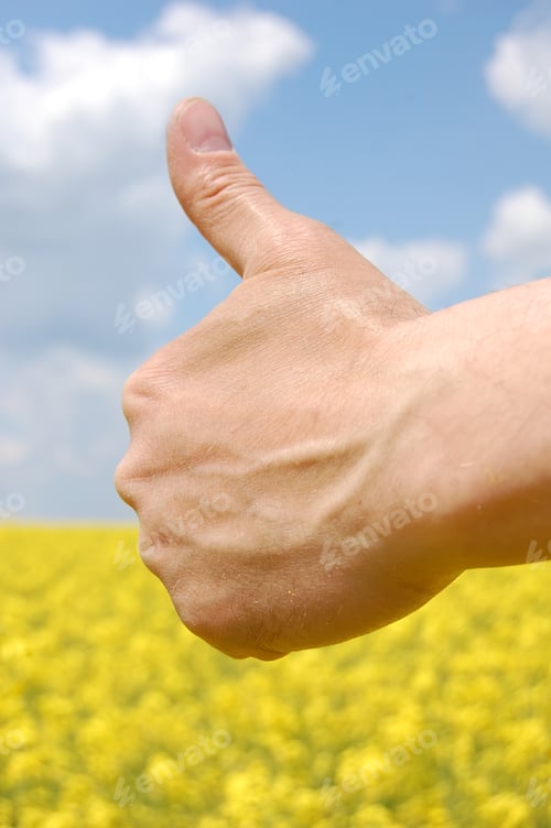 Preview: Farmer's hand symbolize this year's harvest