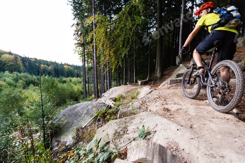 Preview: Mountain biker riding cycling in autumn forest