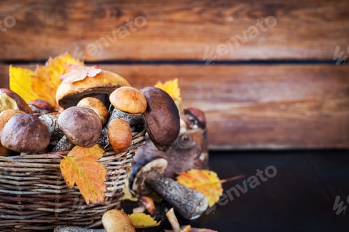 Preview: Wild forest edible mushrooms (boletus) in basket