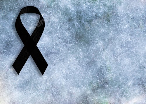 Preview: Black ribbon bow symbolizing mourning.