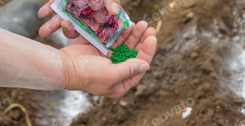 Preview: Young peasant woman planting seeds of carrots, radishes and beets in a warm black earth.