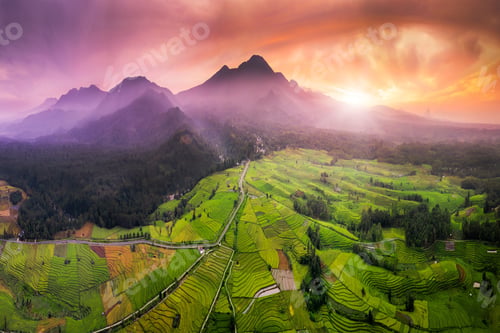 Preview: the natural beauty of Indonesia where the mountain range and extensive rice fields with forests