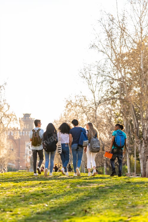 Visualização: Vista traseira de uma fileira de jovens estudantes multiétnicos caminhando juntos no parque
