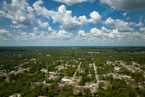 Preview: Aerial landscape view of suburban private houses between green palm trees in Florida