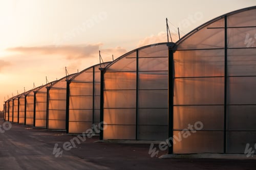 Preview: Large scale industrial greenhouse lit by sunset