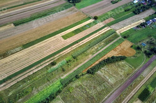 Preview: Aerial landscape view of green and yellow cultivated agricultural fields with growing crops on