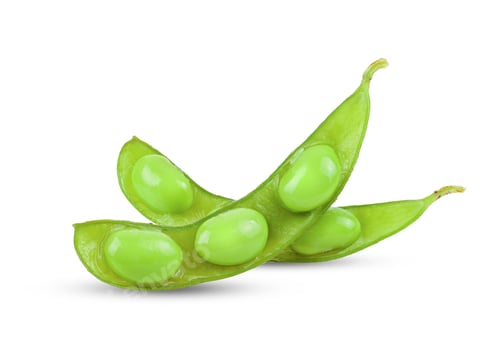 Preview: Close Up of Two Edamame Pods on White