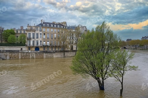 Preview: Paris, bank of the Seine under the floods