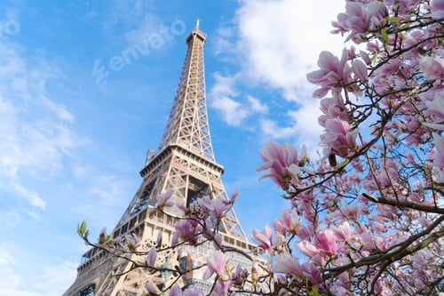 Preview: eiffel tour and from Trocadero, Paris