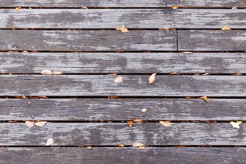 Preview: Fallen leaves yellow orange color lying on wood at autumn. Natural background with copy space