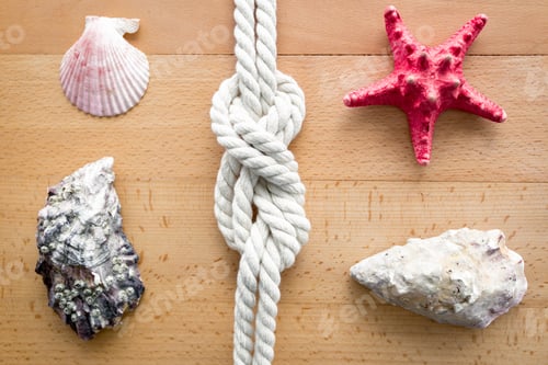 Preview: Closeup of seashells, starfish and knot from sailing travels