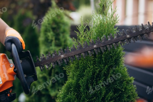 Preview: Hedge Trimming Job. Caucasian Gardener with Gasoline Hedge Trimmer Shaping Wall of Thujas