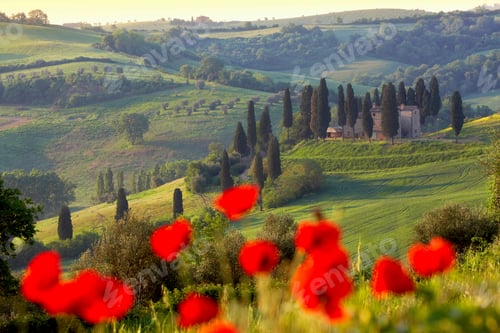 Preview: Scenic view of Orcia valley in spring