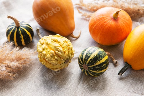 Preview: A rustic autumn still life with pumpkins