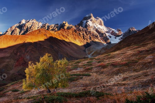Preview: Autumn landscape and snowy mountain peaks.