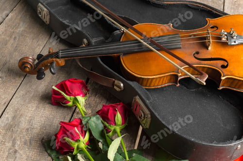 Preview: Red roses and a violin