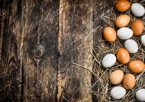 Preview: Chicken eggs on the straw.