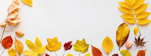 Preview: leaf