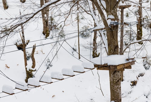 Preview: Rope park covered with snow is located in the trees in a desert forest in winter