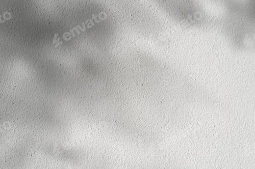 Preview: White Concrete Texture with Leaves shadow on Wall,Studio Background with sunbeam on Cement floor