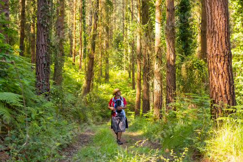 Preview: A young traveler with his back turned with a hat and looking at the forest pines