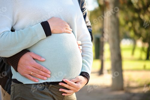 Preview: Unrecognizable couple embracing touching her pregnant belly in a park.