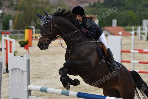 Preview: Show Jumping