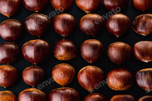 Preview: Rows of chestnuts isolated on black background