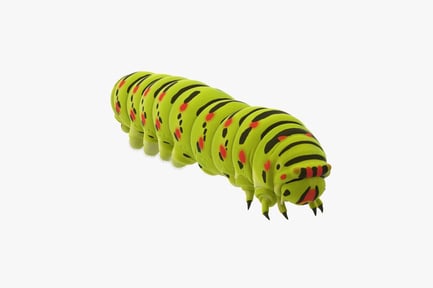 Preview: Macharon Caterpillar