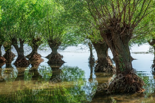 Preview: Civril Isikli Lake in Denizli.