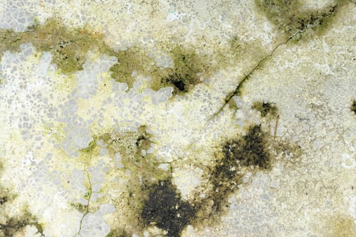 Preview: Vintage weathered concrete wall texture background