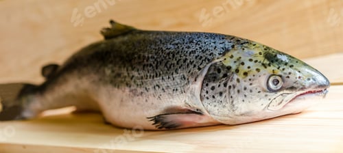 Preview: Atlantic Salmon whole fish