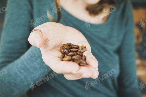 Preview: Woman hand holding natural coffee grains